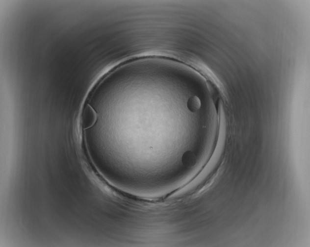 X0000116130892200911231233