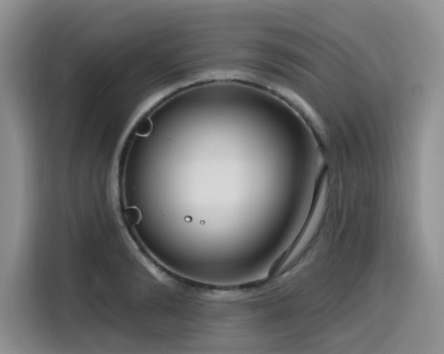 X0000116130894200911231233