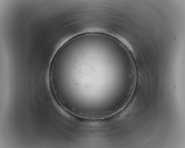 X0000116130895200911231233