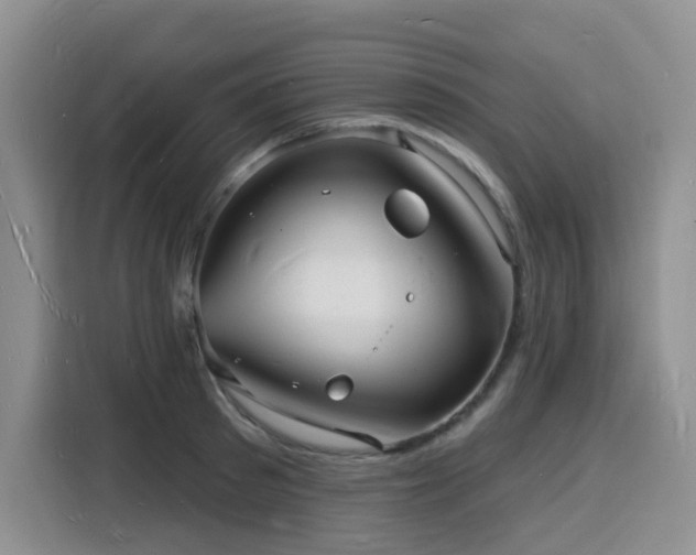 X0000116130897200911231233