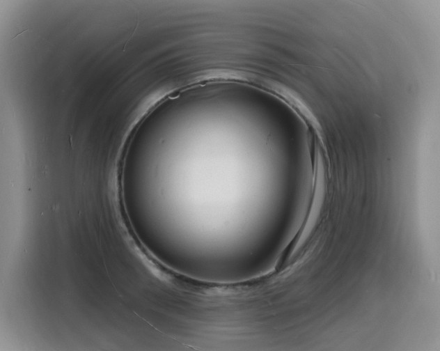 X0000116130898200911231233
