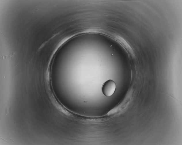 X0000116130900200911231233
