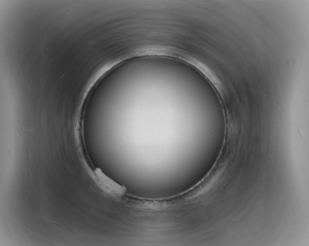 X0000116130901200911231233