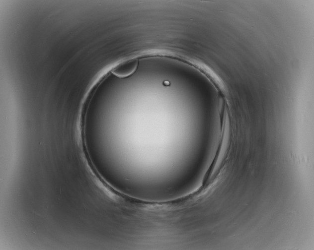 X0000116130902200911231233