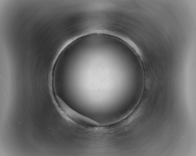 X0000116130903200911231233