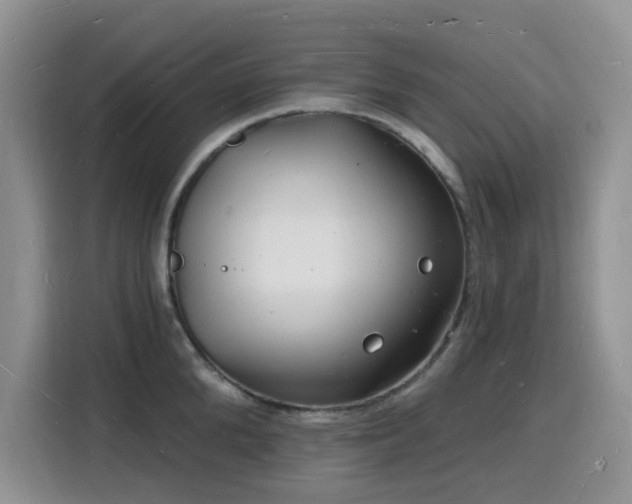 X0000116130904200911231233