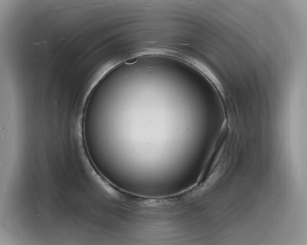 X0000116130906200911231233