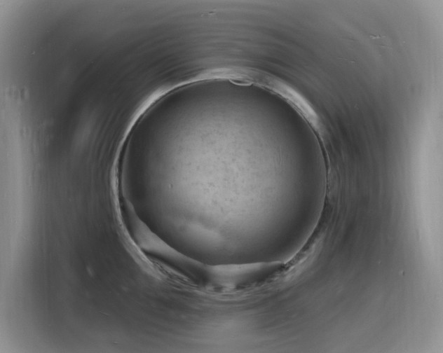 X0000116130907200911231233