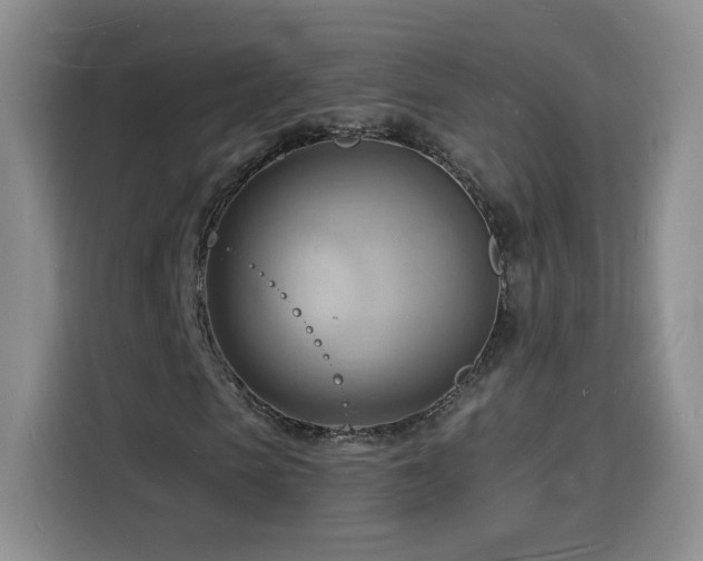 X0000116130913200911231232
