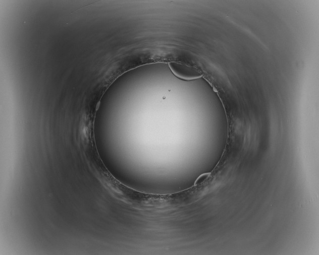 X0000116130914200911231232