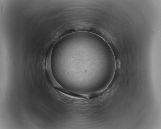 X0000116130915200911231232