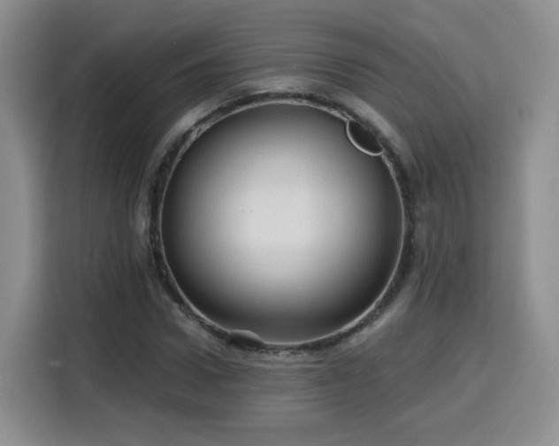 X0000116130922200911231232