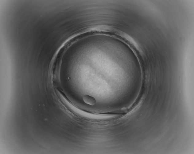 X0000116130923200911231232