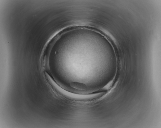 X0000116130925200911231232