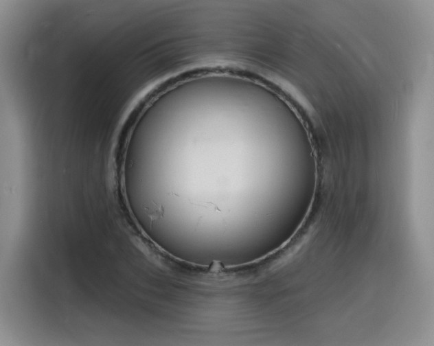 X0000116130927200911231232