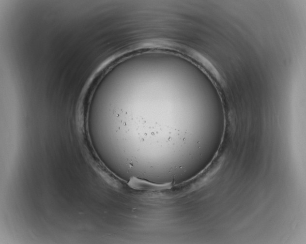 X0000116130931200911231232