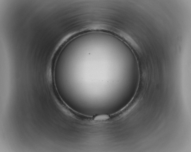 X0000116130934200911231232