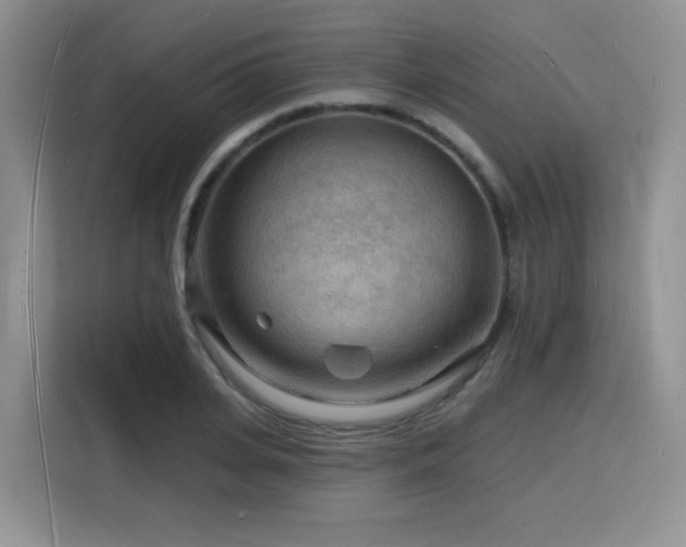 X0000116130935200911231232