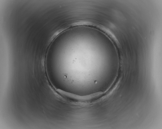 X0000116130937200911231232