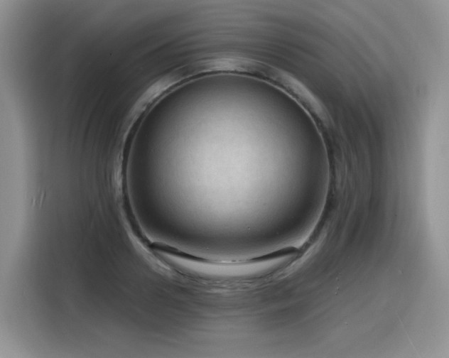 X0000116130938200911231232