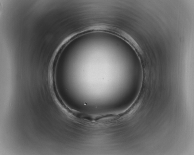 X0000116130939200911231232
