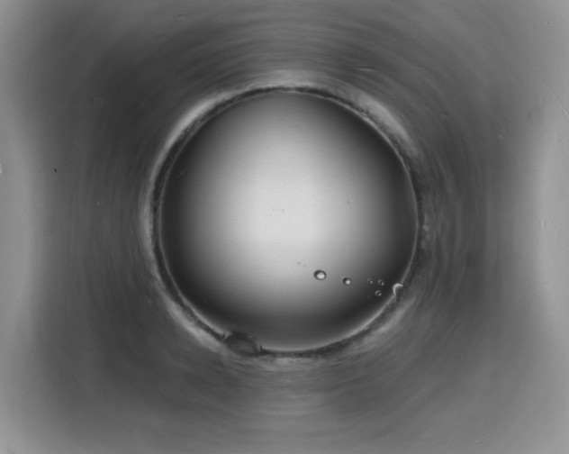 X0000116130942200911231232