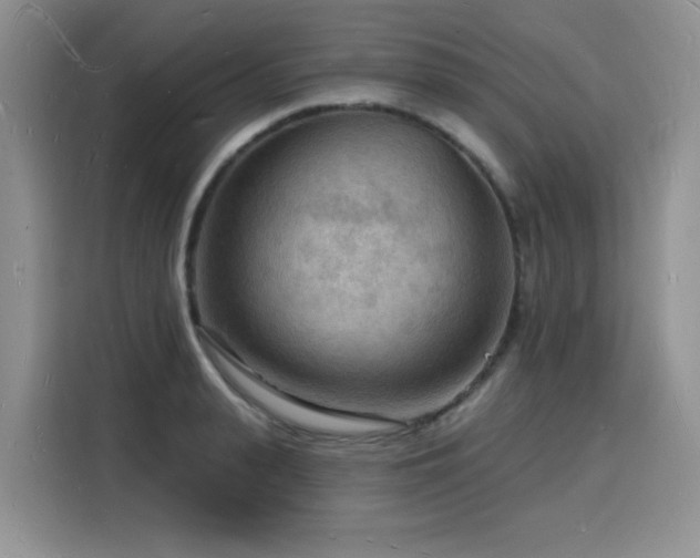 X0000116130943200911231232