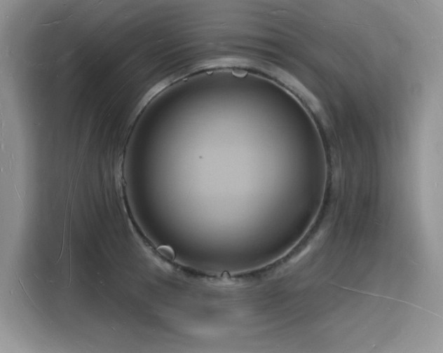 X0000116130945200911231232
