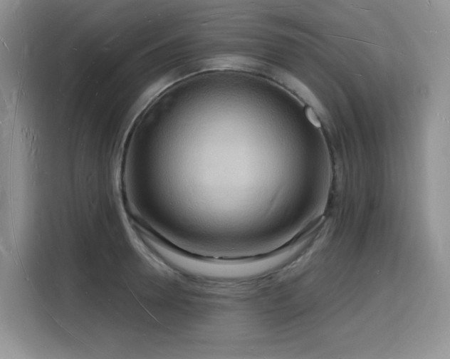 X0000116130946200911231232