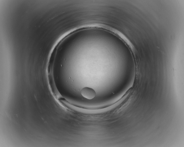 X0000116130951200911231232