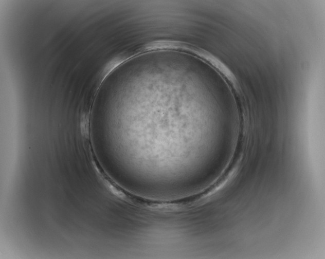 X0000116130953200911231232