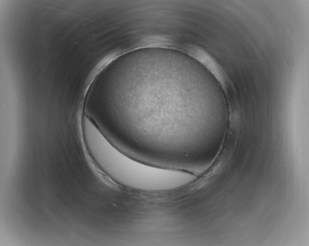 X0000116130954200911231232