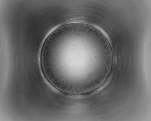 X0000116130957200911231232
