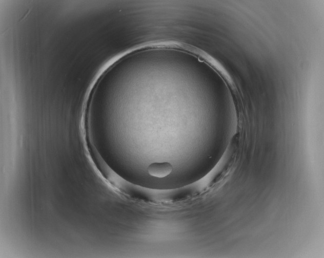 X0000116130959200911231233