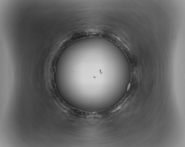 X0000116130961200911231232
