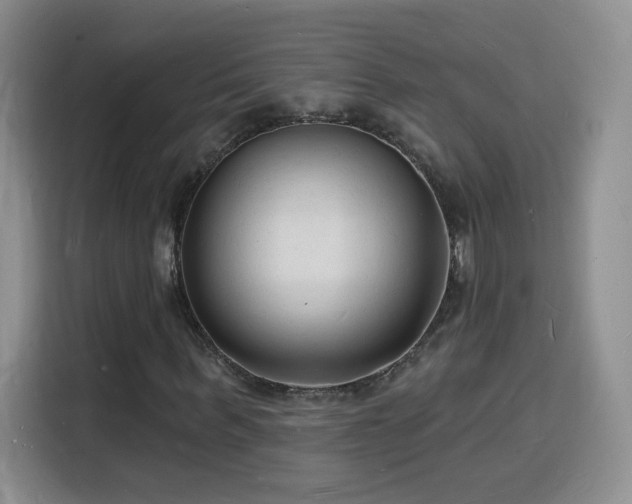 X0000116130963200911231232
