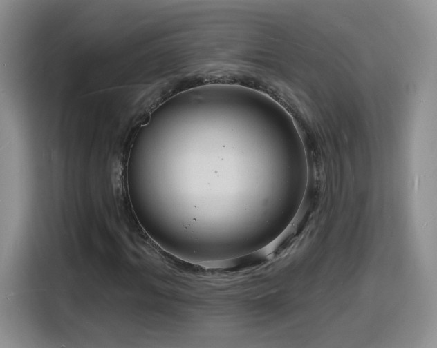 X0000116130964200911231232