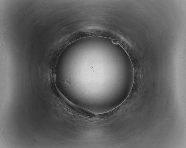X0000116130965200911231232