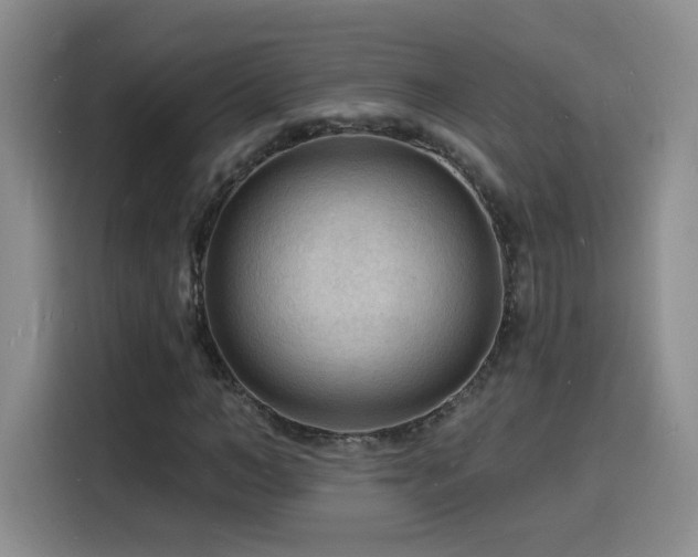 X0000116130966200911231232