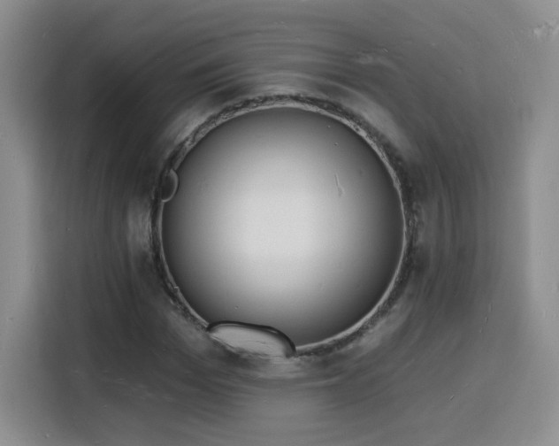 X0000116130969200911231232
