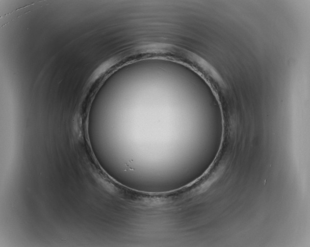 X0000116130970200911231232