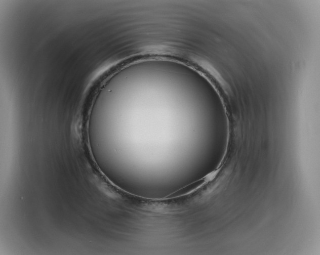X0000116130971200911231232