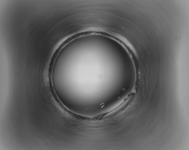 X0000116130972200911231232