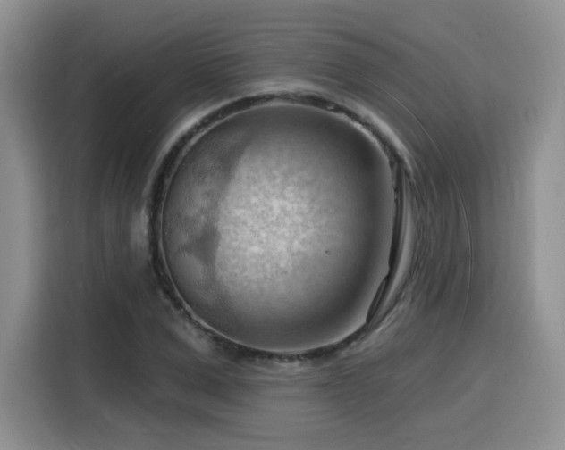 X0000116130975200911231232