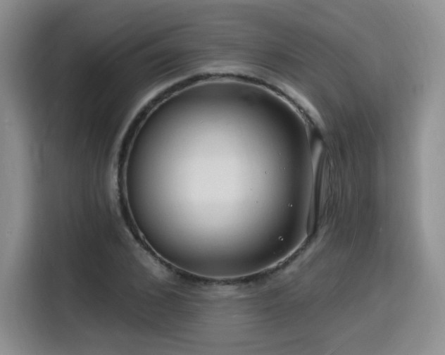 X0000116130976200911231232