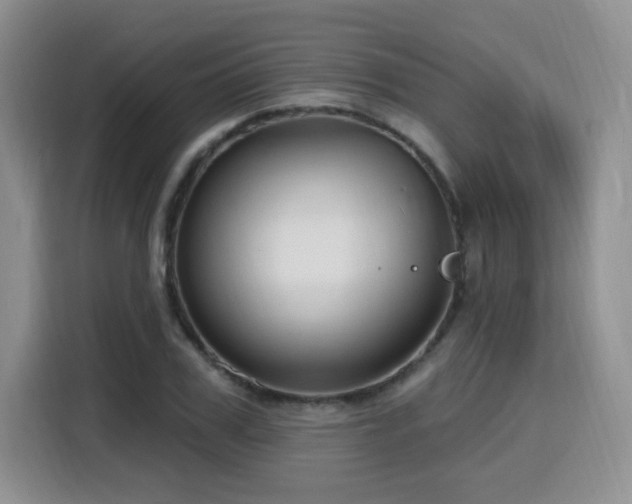 X0000116130979200911231232