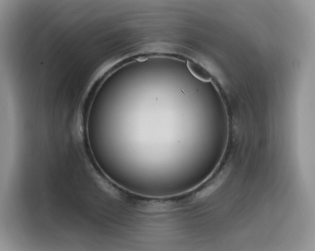 X0000116130981200911231232