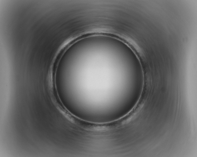 X0000116130982200911231232