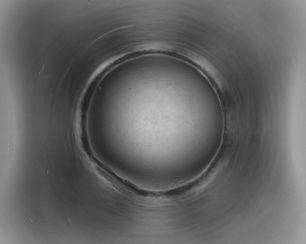 X0000116130983200911231232