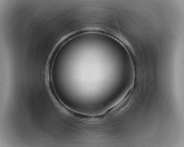 X0000116130984200911231232